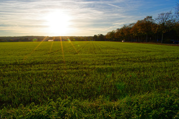 Fototapeta premium Sunset in Germany