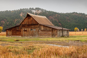Obraz premium old barn in the field