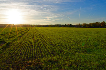 Sunset in Germany