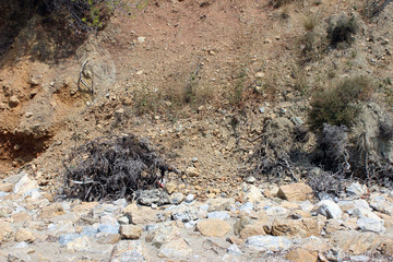 Eroded beach cliff vegetation and boulders horizontal