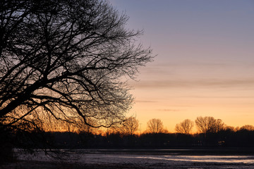 Abendhimmel mit Baumsilhouetten