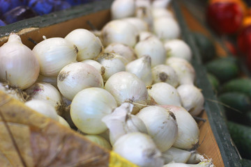 Harvest. Onions close up