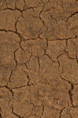 Cracked earth