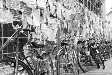 Black and white wallpaper lifestyle - Student bicycles in Bologna (Italy) © Julien