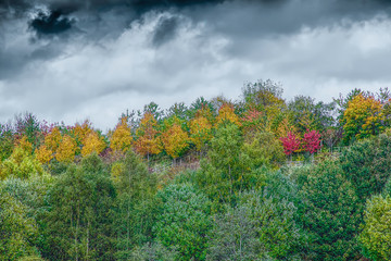 Dramatic sky over autumn woodland.