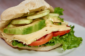 Obraz premium sandwich home vegetarian