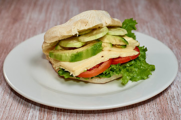 sandwich home vegetarian