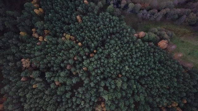 trees water autumn gorge forest