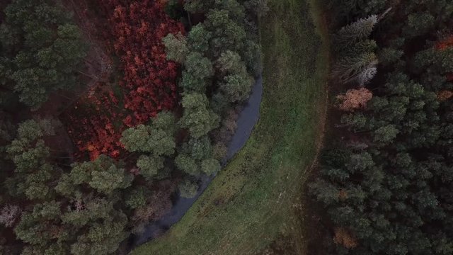 river shore trees water autumn gorge forest