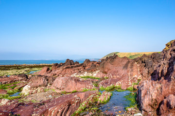 Scenic landscape of Pembrokeshire coast, Uk.Beautiful summer morning on rocky beach during low tide.Fantastic weather and clean blue sky above.
