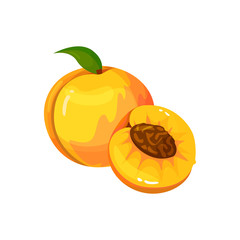 Cartoon fresh peach isolated on white background