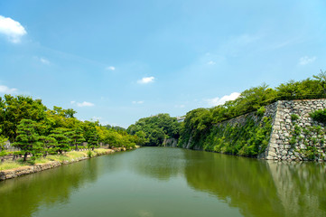 Fototapeta na wymiar 姫路城の新緑
