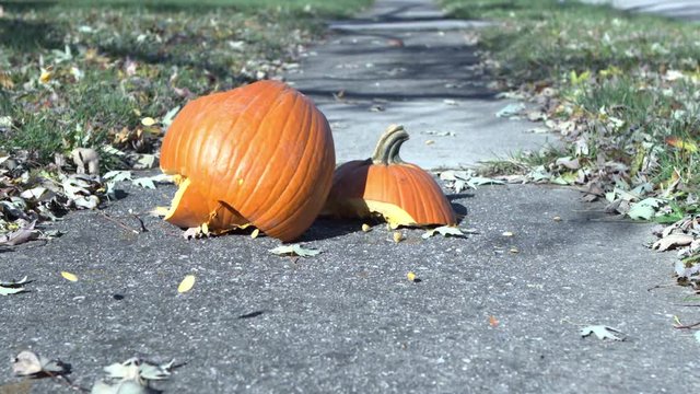 Pumpkin smashing on ground of sidewalk slow motion at 240 frames per second.
