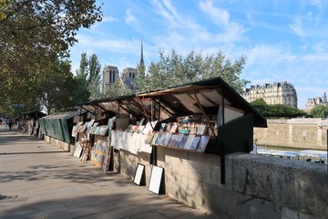 Bouquiniste sur les quais de Seine &agrave; Paris, devant Notre-Dame (France)