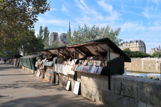 Fototapeta Bouquiniste sur les quais de Seine à Paris, devant Notre-Dame (France)