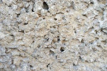 Light background of natural shell rock