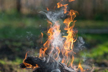 Bonfire close up with blurred background. Camping concept