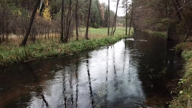 river shore trees water autumn gorge