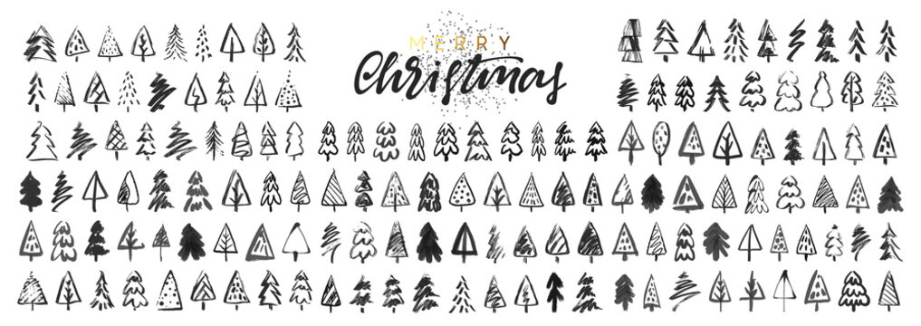 Christmas trees. Sketch a Doodle pine tree. Illustration hand drawn art.