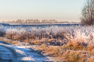 Morning autumn frosts