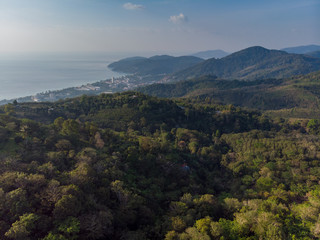 forest mountain and sea aerial view