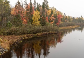 Beautiful Autumn Forest Reflections on the Wisconsin River
