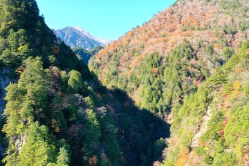 日本アルプス山麓にある北葛沢という渓谷を空撮