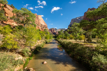 Fototapeta na wymiar Zion and the Virgin River