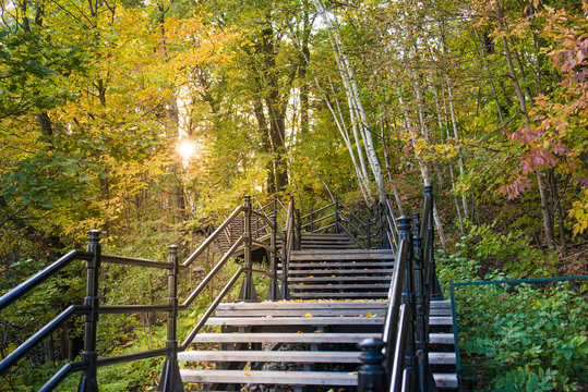 Fall Season In Mont Royal Park In Montreal, Canada