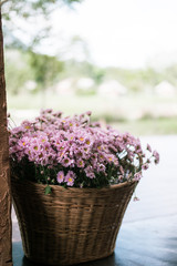 beautiful vintage wedding day in summer
