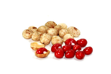 Bambara Groundnut on white background
