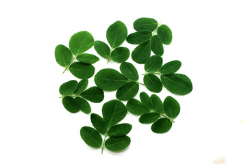 Obraz premium Moringa leaves isolated on white background