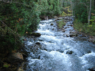 waterfall in the forest