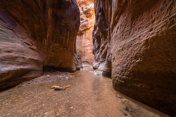 The Narrows of Zion