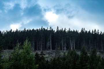 Lake Weissensee in Austria