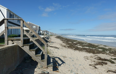 Wooden stairs to a New England beach, covered with seaweed