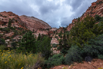 Zion National Park