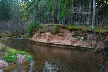 Naklejka na ściany i meble River Amata at autumn, trees, water, cliffs. Nature and river, grass and trees. View to river. Latvia 2018