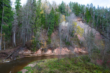 River Amata at autumn,  trees, water, cliffs. Nature and river, grass and trees. View to river. Latvia 2018