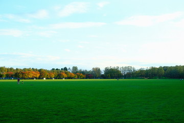 a vast green field in autumn