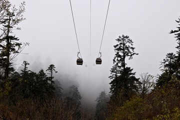 Cable car disappearing in the fog, Hailuogou valley, Sichuan, China 