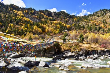 Autumn forest and sacred river close to Tagong in Sichuan, China 