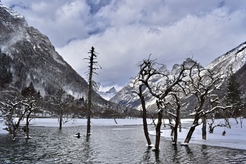 Frozen lake and dead trees at the Shuangqiao Valley, Sichuan, China  