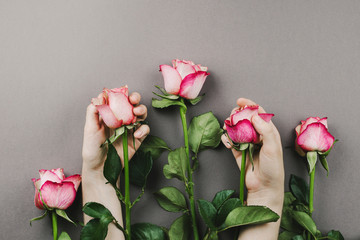 Flatlay of woman's hands holding pink roses on dark grey background