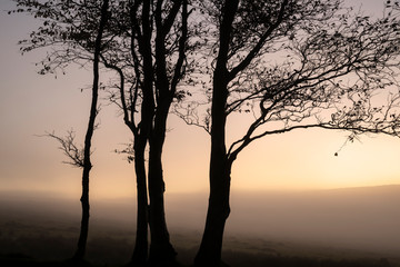 Beautiful foggy sunrise landscape over the tors in Dartmoor revealing peaks through the mist