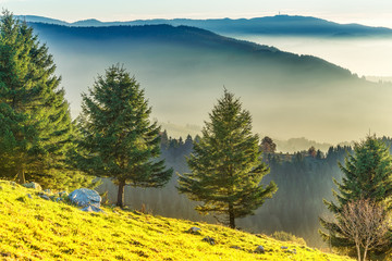 Scenic mountain landscape. View on the Black Forest in Germany, covered in fog. Colorful travel background. - 231286955