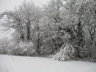 fotos de paisajes varios nieve sol naturaleza 