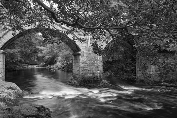 Fototapeta premium Stunning landscape image of old stone bridge over flowing river in Autumn in black and white