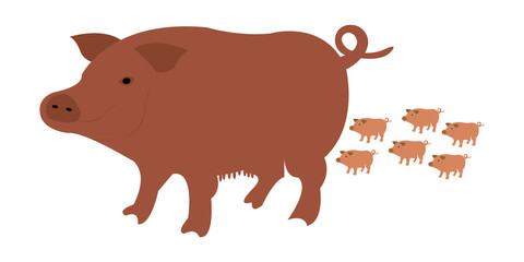 Colorful stylized drawing of pig swine - for icon or sign template