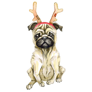 Pug dog celebrates new year in santa claus hat. Christmas puppy. Isolated on white background. watercolor deer